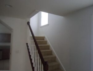 A carpeted staircase illuminated by natural light from a window.